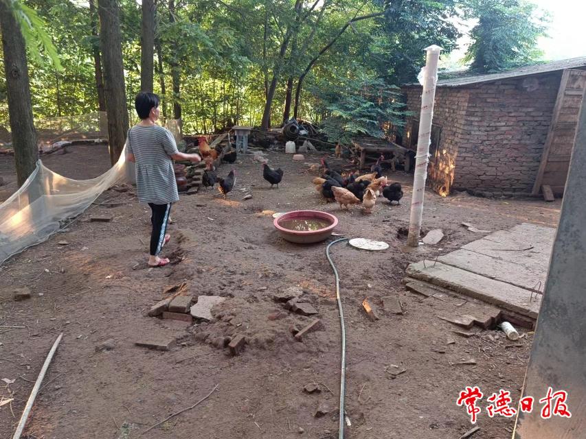 宗玉蘭養殖場.jpg